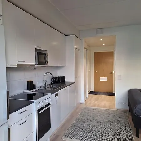 Moderni Yksioe Oulun Sydaemessae! Apartman