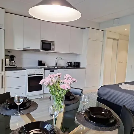Moderni Yksioe Oulun Sydaemessae! Apartment